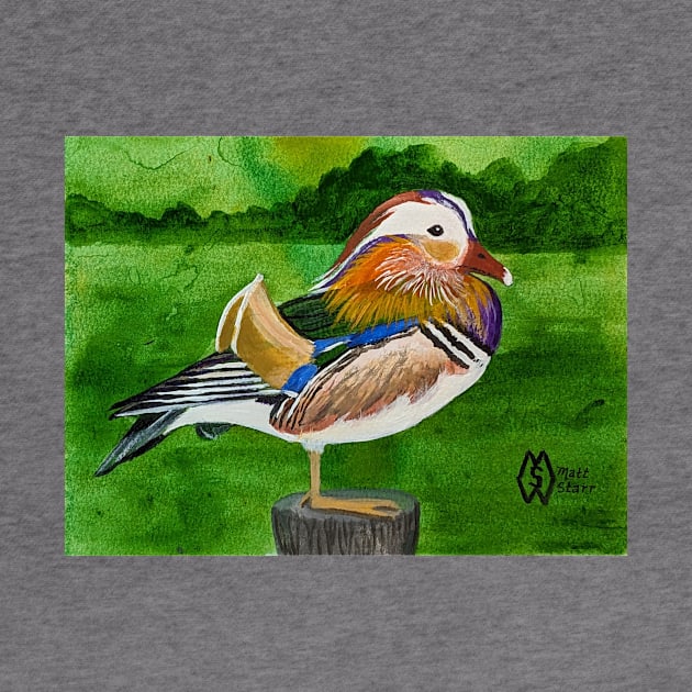 Mandarin duck in the marsh by Matt Starr Fine Art